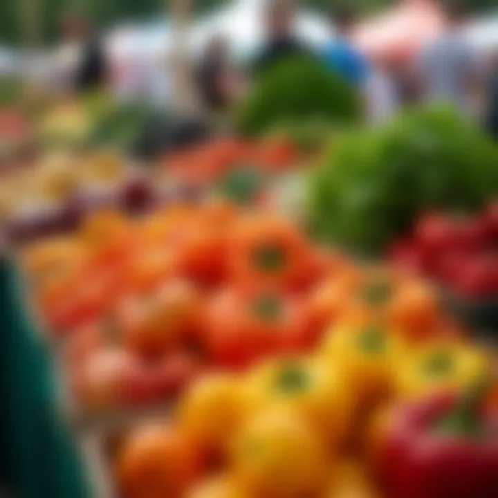 A vibrant local farmers market filled with fresh produce.