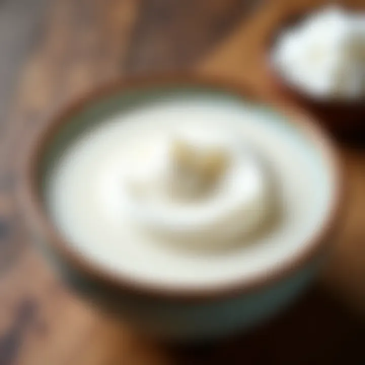 A close-up view of rich coconut milk in a bowl.